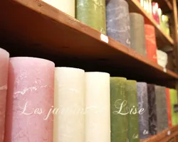 Les Jardins de Lise - Photos du magasin - Photos