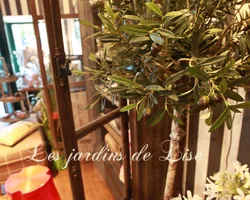 Les Jardins de Lise - Photos du magasin - Photos