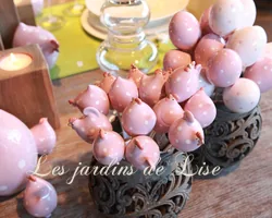 Les Jardins de Lise - Photos du magasin - Photos