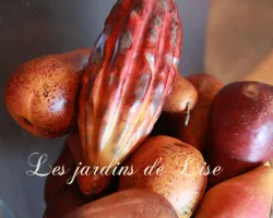 Les Jardins de Lise - Photos du magasin - Photos