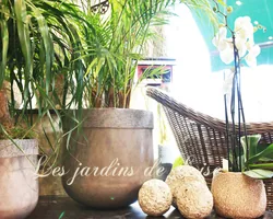 Les Jardins de Lise - Photos du magasin - Photos