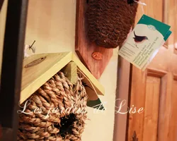 Les Jardins de Lise - Photos du magasin - Photos