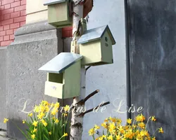 Les Jardins de Lise - Photos du magasin - Photos