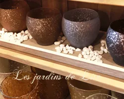 Les Jardins de Lise - Photos du magasin - Photos