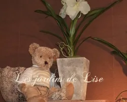 Les Jardins de Lise - Photos du magasin - Photos