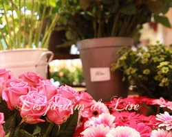 Les Jardins de Lise - Photos du magasin - Photos