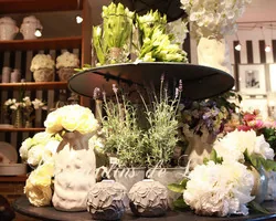 Les Jardins de Lise - Photos du magasin - Photos