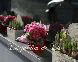 Les Jardins de Lise - Photos du magasin - Photos