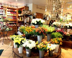 Les Jardins de Lise - Photos du magasin - Photos