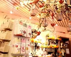 Les Jardins de Lise - Photos du magasin - Photos