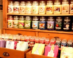 Les Jardins de Lise - Photos du magasin - Photos