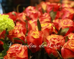 Les Jardins de Lise - Photos de bouquets - Photos