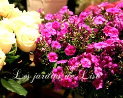Les Jardins de Lise - Photos de bouquets - Photos