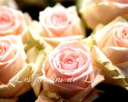 Les Jardins de Lise - Photos de bouquets - Photos
