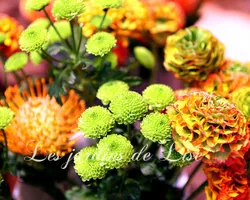 Les Jardins de Lise - Photos de bouquets - Photos
